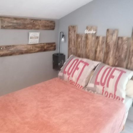 Chambre 23M2 Avec Jardin Wi-Fi Gratuit Saint-Girons Apartment Екстериор снимка