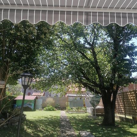 Chambre 23M2 Avec Jardin Wi-Fi Gratuit Saint-Girons Apartment Екстериор снимка
