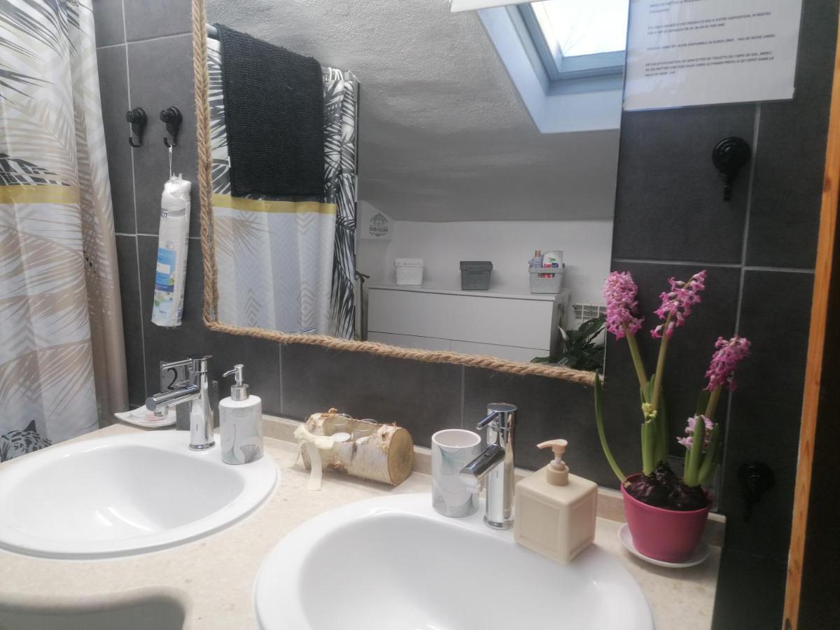 Chambre 23M2 Avec Jardin Wi-Fi Gratuit Saint-Girons Apartment Екстериор снимка