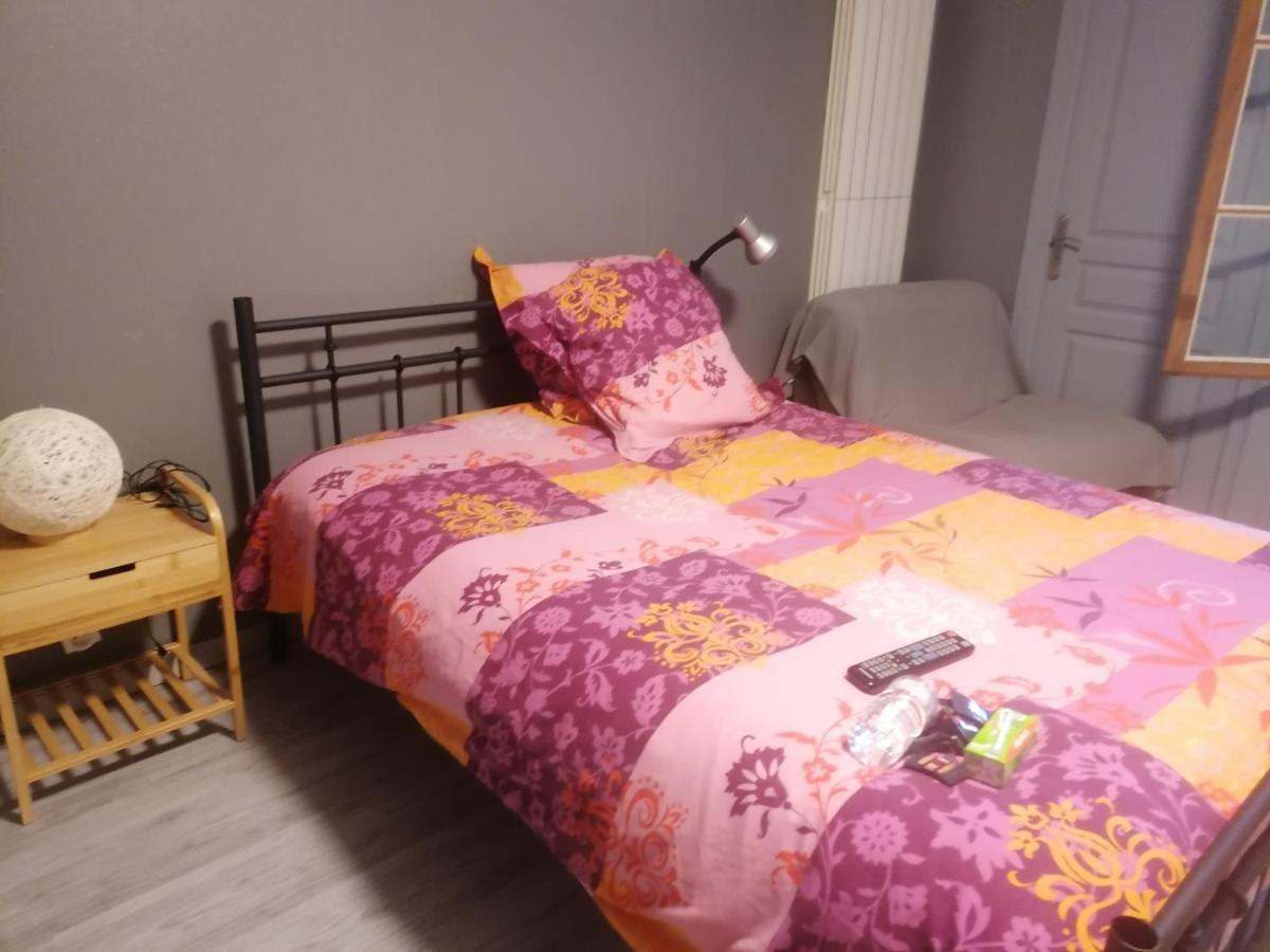 Chambre 23M2 Avec Jardin Wi-Fi Gratuit Saint-Girons Apartment Екстериор снимка